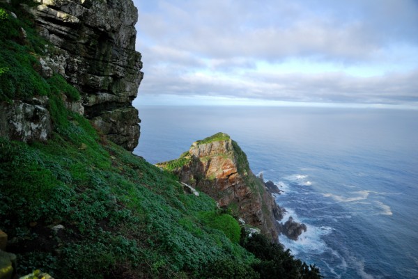 Cape of good hope